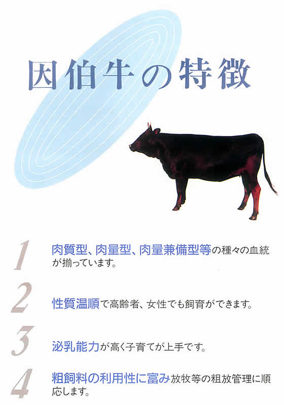 ̓