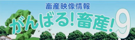 ����΂�{�Y�X